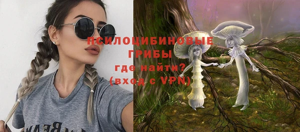 apvp Алексеевка